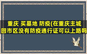 重庆 买墓地 防疫(在重庆主城回市区没有防疫通行证可以上路吗)